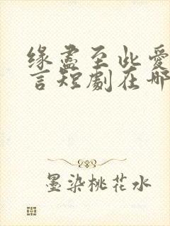 缘尽至此爱不再言短剧在哪里看