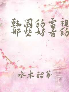 韩国的电视剧有哪些好看的