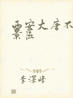西安大唐不夜城景区 西安大唐不夜城景区