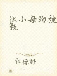 jk小母狗被调教