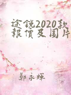 途锐2020款报价及图片