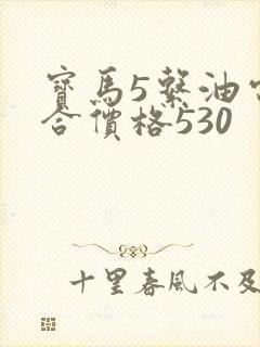 宝马5系油电混合价格530 宝马5系油电混合价格530