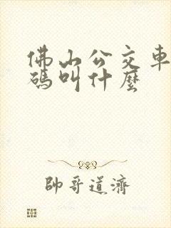 佛山公交车乘车码叫什么