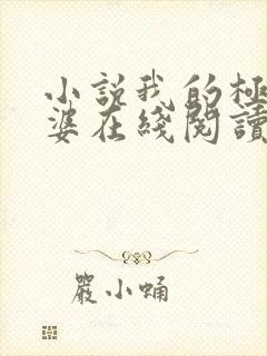 小说我的极品老婆在线阅读全文