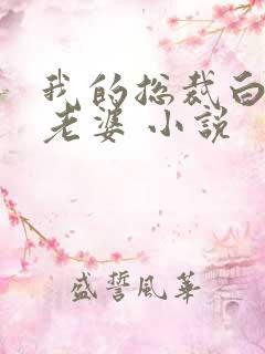 我的总裁白富美老婆 小说