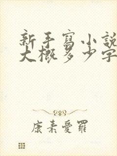 新手写小说一章大概多少字