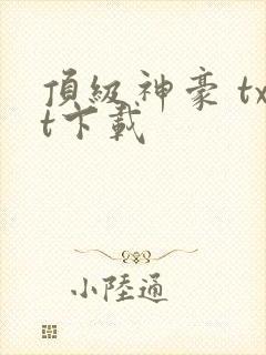 顶级神豪 txt下载
