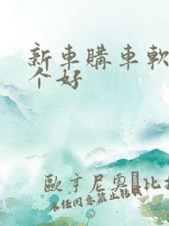 新车购车软件哪个好
