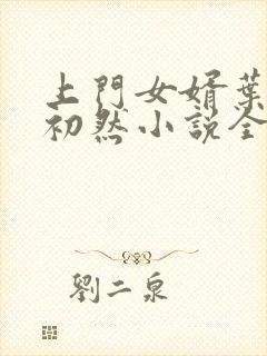 上门女婿叶辰萧初然小说全集
