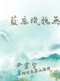 蓝忘机魏无羡文