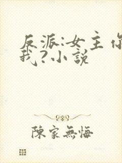 反派:女主你搞我?小说