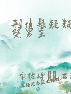 刑侦悬疑类小说双男主