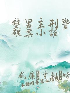 双男主刑警推理破案小说