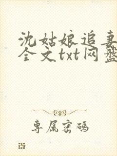 沈姑娘追妻攻略全文txt网盘资源 沈姑娘追妻攻略全文txt网盘资源