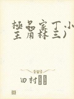 极品家丁小说(主角林三)
