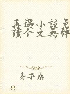 再遇小说免费阅读全文无弹窗