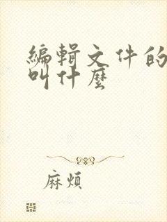 编辑文件的软件叫什么