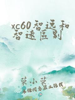 xc60智逸和智远区别