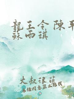龙王令 陈平 苏雨琪