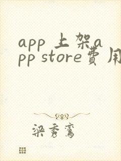 app 上架app store费用
