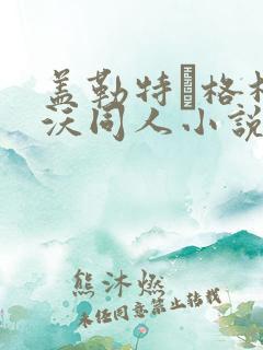 盖勒特·格林德沃同人小说