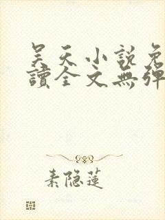 吴天小说免费阅读全文无弹窗