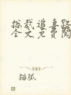 总裁追妻路漫漫全文免费阅读