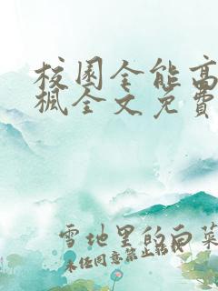 校园全能高手季枫全文免费阅读