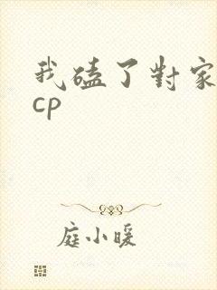 我磕了对家我的cp