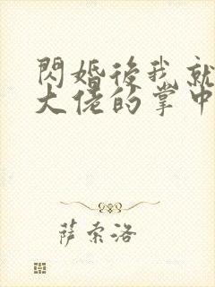 闪婚后我就成了大佬的掌中之物