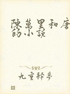 陈万里和唐嫣然的小说