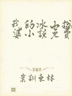 我的冰山总裁老婆小说免费阅读