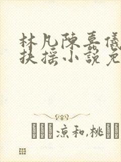 林凡陈嘉仪袖手扶摇小说免费阅读