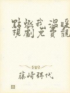 点燃我温暖我电视剧免费观看