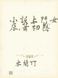 小说上门女婿叶辰,萧初然 小说上门女婿叶辰,萧初然