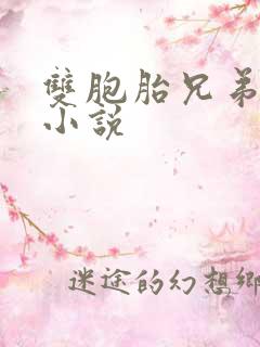 双胞胎兄弟共感小说