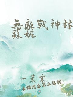 无敌战神林北与苏婉
