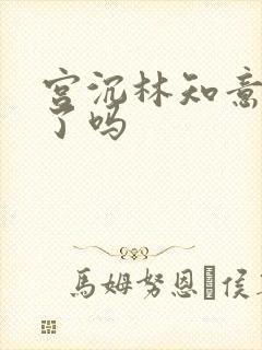 宫沉林知意完结了吗