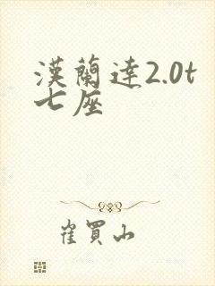 汉兰达2.0t七座