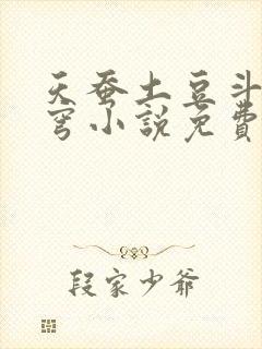 天蚕土豆斗破苍穹小说免费阅读 天蚕土豆斗破苍穹小说免费阅读