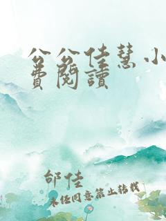 公公佳慧小说免费阅读
