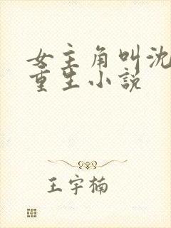 女主角叫沈清的重生小说