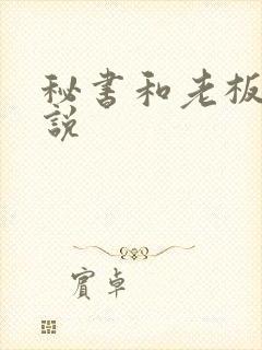 秘书和老板的小说