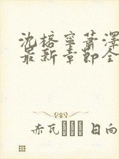 沈榕宁萧泽小说最新章节全文阅读