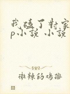 我磕了对家的cp小说 小说