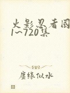 火影忍者国语版1~720集