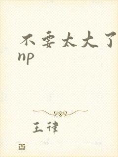 不要太大了高hnp