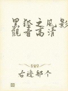 黑狐之风影免费观看高清 黑狐之风影免费观看高清