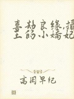 喜劫良缘,摄政王的小娇妃全文免费阅读 喜劫良缘,摄政王的小娇妃全文免费阅读