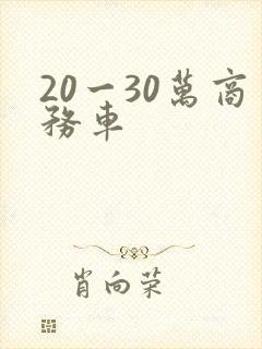 20一30万商务车